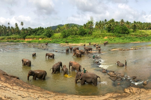 Excursion de 7 jours au Sri LankaVisitez le Sri Lanka 7 jours excursion