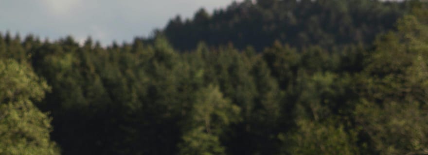 Visite privée d'une jounée à vélo et randonnée dans le parc national d'Acadia