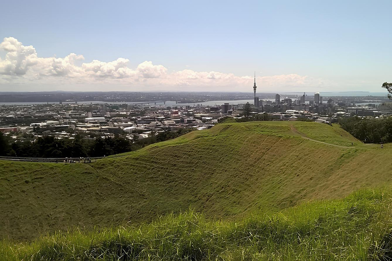 Excursão particular de meio dia para os 5 melhores pontos de Auckland