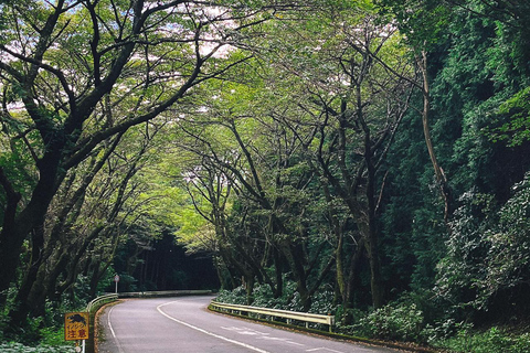 Tokio: Excursión de un día a Fuji y Hakone: onsen, arte y naturalezaExcursión en grupo en monovolumen