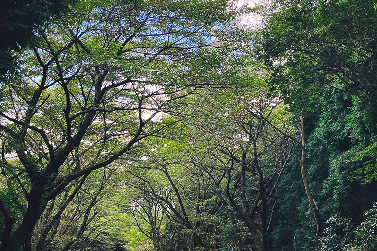 Tokio: Dagtrip Onsen, kunst en natuur naar Fuji en HakoneGroepsreis in een minibus