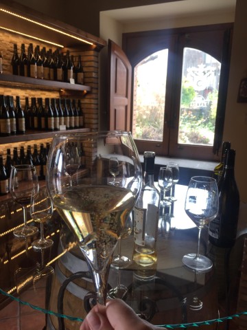 Visit Etna Winery Wine & Food Tasting Private Tour in Catania, Italy
