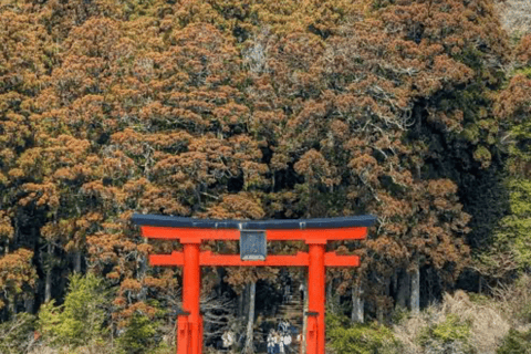 From Tokyo: Mount Fuji Full Day Customizable Private Tour