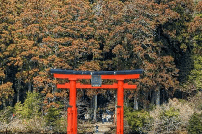 From Tokyo: Mount Fuji Full Day Customizable Private Tour