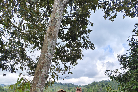 Tanah lot, tempio del lago Beratan, terrazza di riso di JatiluwihTour di Bedugul