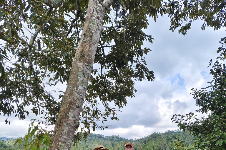 Tanah lot, tempio del lago Beratan, terrazza di riso di JatiluwihTour di Bedugul