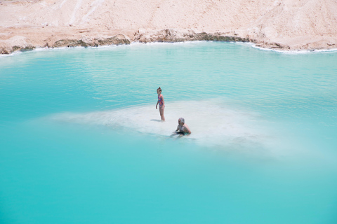 Desde El Cairo: Baño en el Lago Salado y de Azufre, Safari, Excursión al Oasis de SiwaTour en grupo reducido desde El Cairo