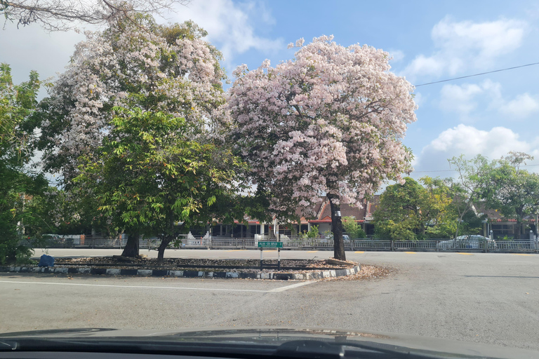 Penang: Cameron Highlands Tour