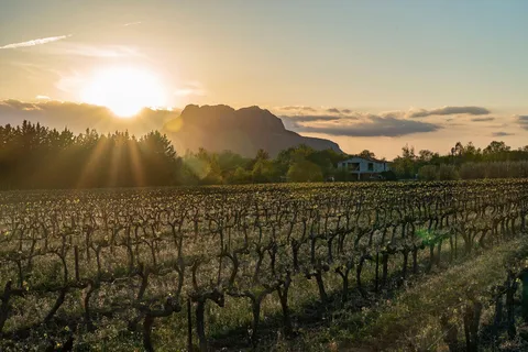 Fréjus: Visita guidata della cantina e degustazione di vini