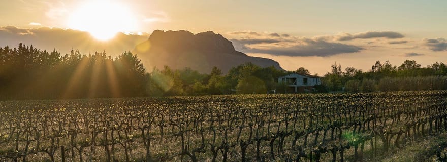 Fréjus: Visite guidée Cave et dégustation de vins
