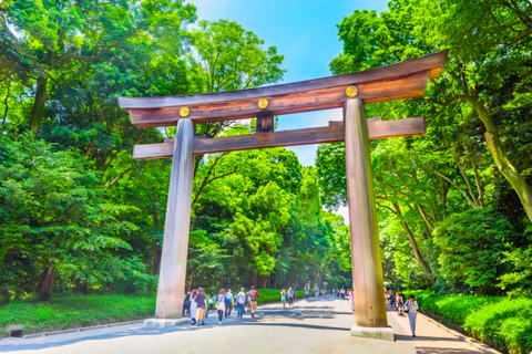 Tokyo Tour:Viral Instagram & TikTok Highlights by Luxury Car