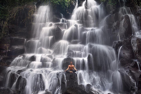 Ubud: Cascadas, Templo del Agua y Terrazas de Arroz Tour privadoTour privado con entrada Tikets