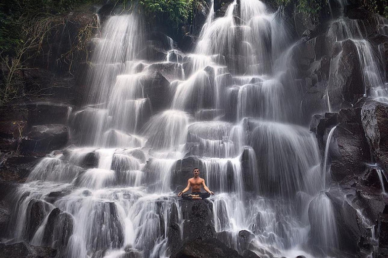 Ubud: Cascadas, Templo del Agua y Terrazas de Arroz Tour privadoTour privado con entrada Tikets