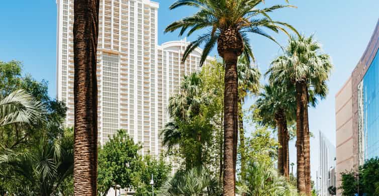 Las Vegas Strip: 3-Stop Pool Party Crawl with Party Bus photo 8