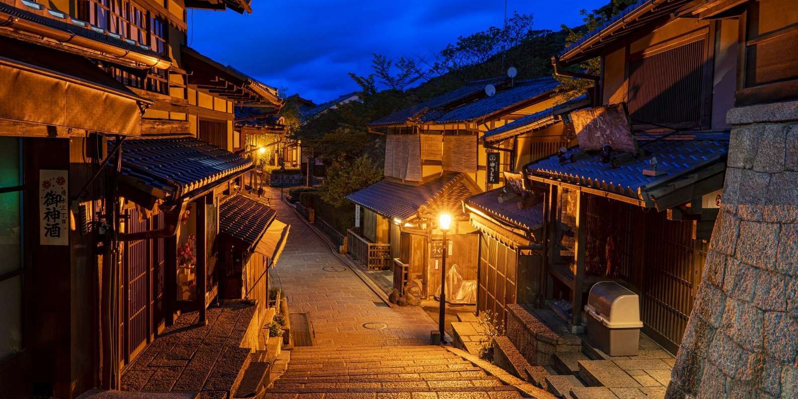 Kyoto experience — temples, geisha, bamboo grove — image 4