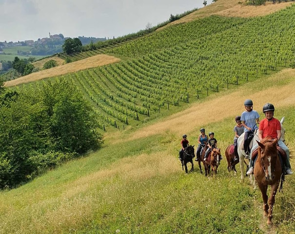 Langhe: Horse Riding in the Vineyards