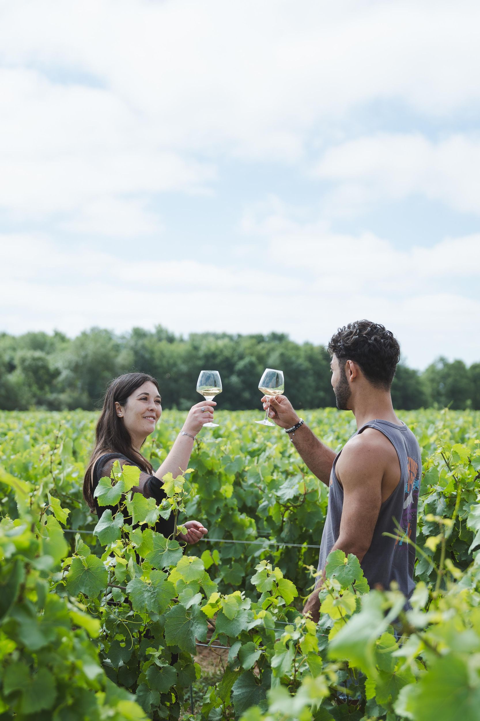 Nantes: Besichtigung des Weinbergs im Van (2 Stunden)