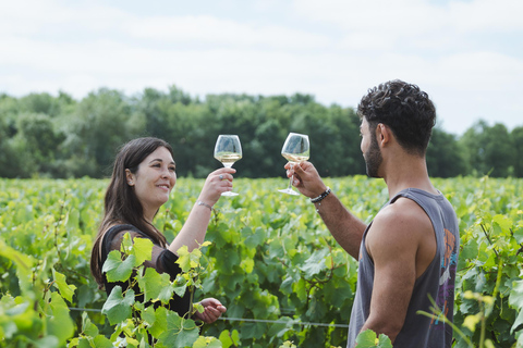 Nantes: Vineyard tour by van (2 hours)