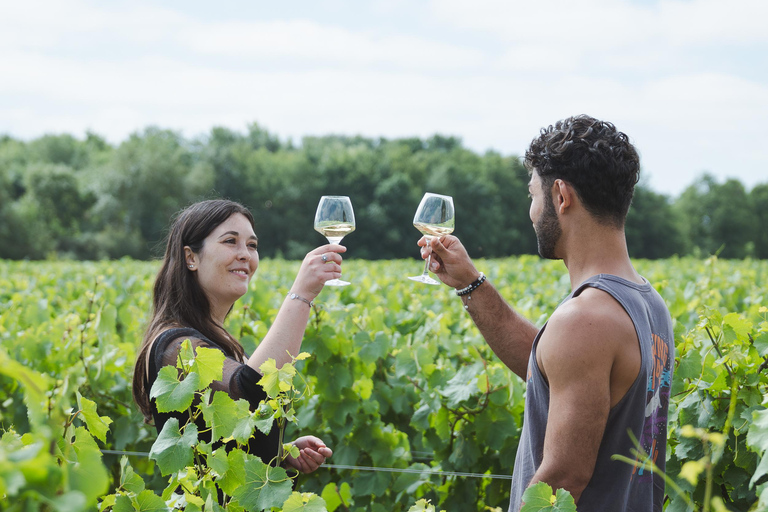 Nantes: Vineyard tour by van (2 hours)