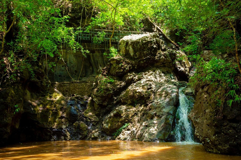 From San Salvador: Cinquera Forest and History Hiking Tour