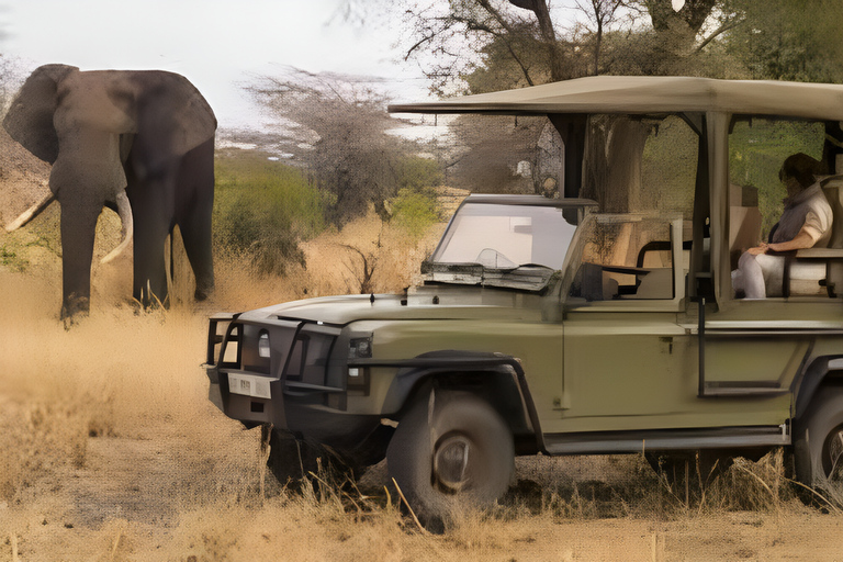From Dar es Salaam: 1 Day Mikumi Open Jeep Safari by Train