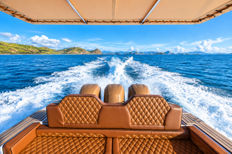 Day Trip to Komodo with Luxury Boat Dragon Guarantee & Drone