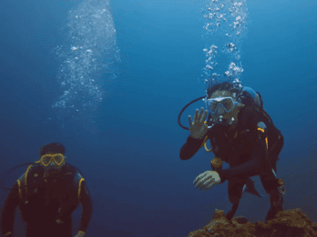 Moalboal: immersioni e giro dell'isola di Pescador