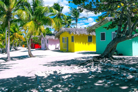 Punta Cana ou La Romana : Visite de l'île de Catalina et plongée en apnéeDepuis La Romana ou Bayahibe