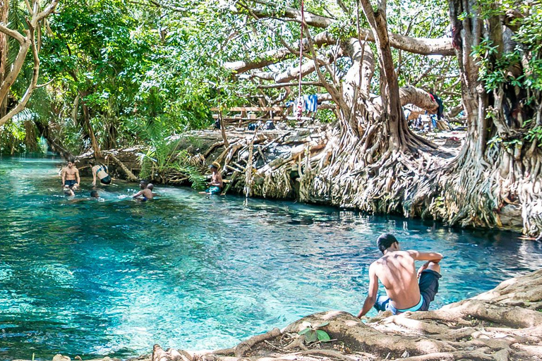 Cachoeiras de Materuni, passeio de café e Chemka Hot Springs