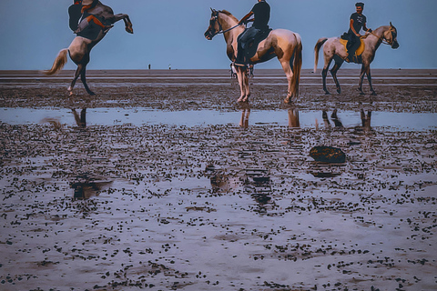 Dragør: Søvang Open Landscape & Coastal Horseback Experience