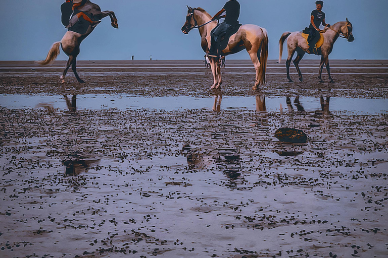 Dragør: Søvang Open Landscape & Coastal Horseback Experience