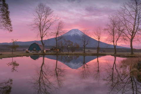 Tokyo: Oöverträffad privat tur till Fuji-berget och sjöarna