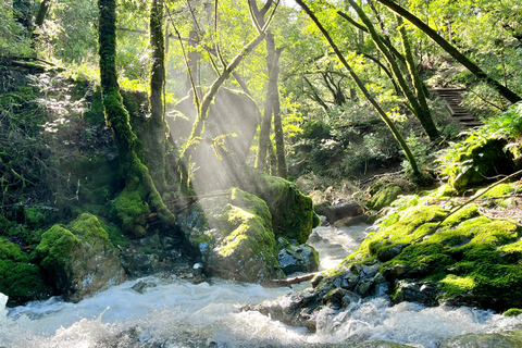 CUSTOM PHOTO ADVENTURES TO THE BAY AREA'S MOST EPIC SCENERY 6-HOUR PHOTO ADVENTURE TO THE BAY AREA'S MOST EPIC SCENERY