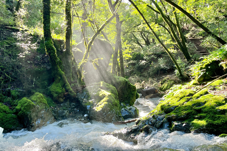 CUSTOM PHOTO ADVENTURES TO THE BAY AREA'S MOST EPIC SCENERY 6-HOUR PHOTO ADVENTURE TO THE BAY AREA'S MOST EPIC SCENERY