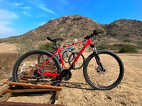 Tour especializado en bicicleta de montaña en el santuario del bosque de Pomac - Housity