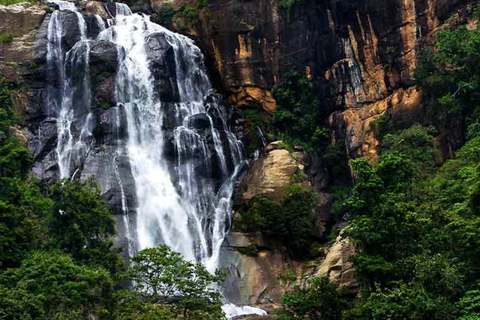 Vanuit Galle/Weligama/Mirissa/Tangalle: Dagtrip naar Ella