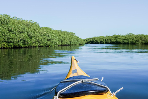 Sea Kayak Tour - Mangrove Safari