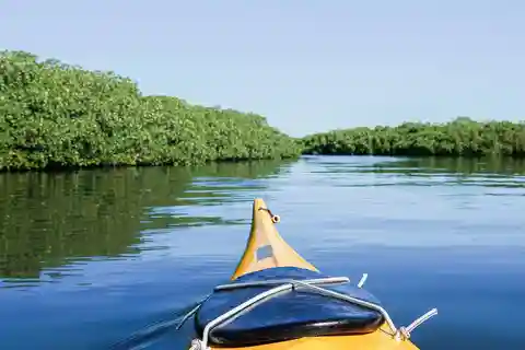 Passeio de caiaque no mar - Safari nos mangais
