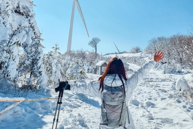 Depuis Séoul : Randonnée au lever du soleil de Taebaeksan sur les fleurs de neige et K-food