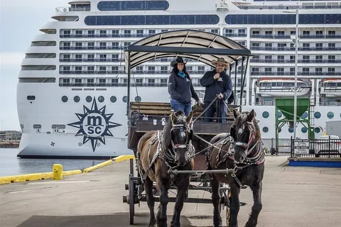Prince Edward Island: Horse-Drawn Carriage Tour