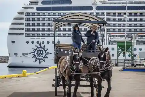 Prince Edward Island: Horse-Drawn Carriage Tour