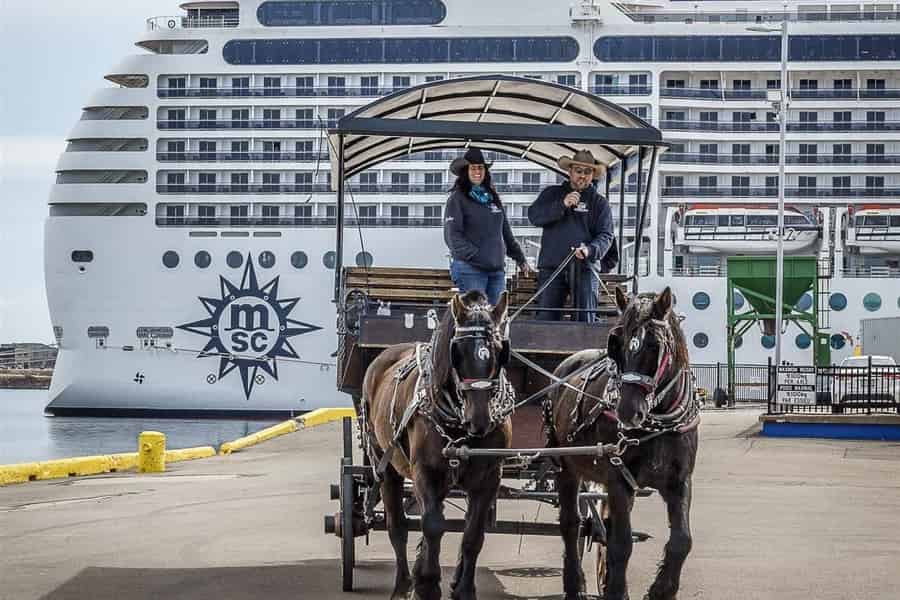 Prince Edward Island: Tour mit der Pferdekutsche. Foto: GetYourGuide Prince Edward Island: Tour mit der Pferdekutsche. Foto: GetYourGuide