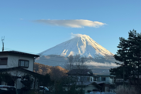 Depuis Tokyo : Excursion privée d&#039;une journée au Mont Fuji et à Hakone