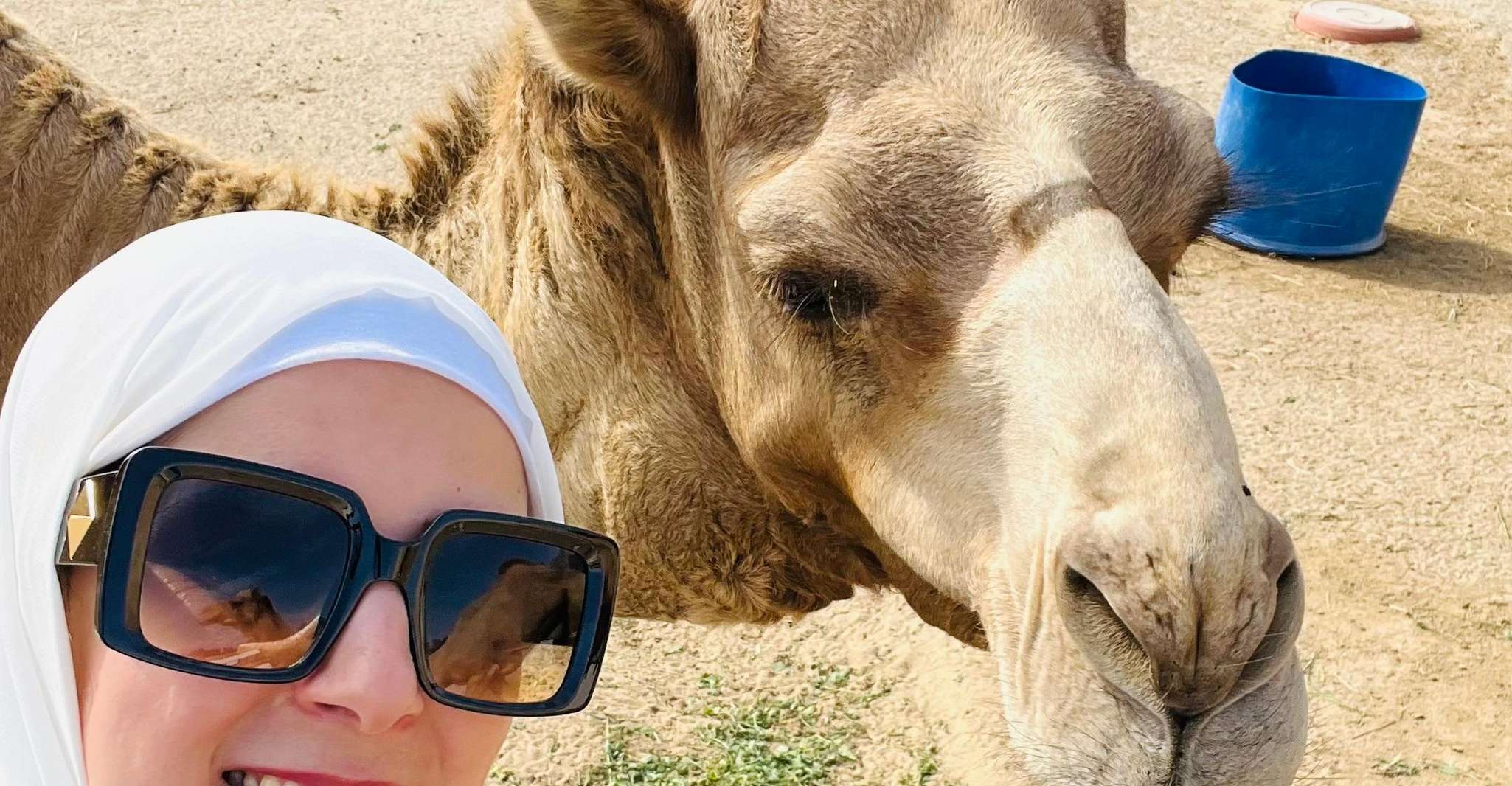 Around Bahrain For AIDAprima Tourists Shared Tour 5H photo 15