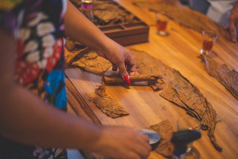 Cartagena: Cigar Rolling & Rum Tasting with Expert Guide