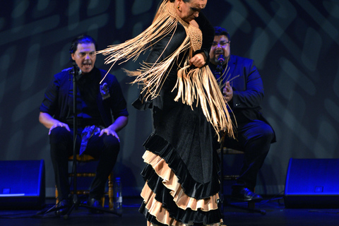 Valence : Nouveau spectacle de flamenco dans le théâtre le plus emblématique de Valence