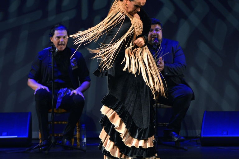 Valência: Novo espetáculo de flamenco no teatro mais emblemático de Valência