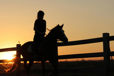Sedona: Golden Hour Horseback Ride in Vineyard Landscape