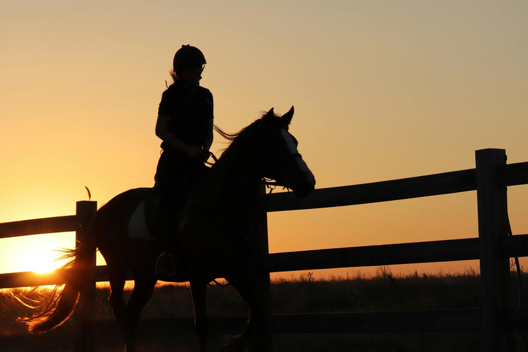 Sedona: Golden Hour Horseback Ride in Vineyard Landscape