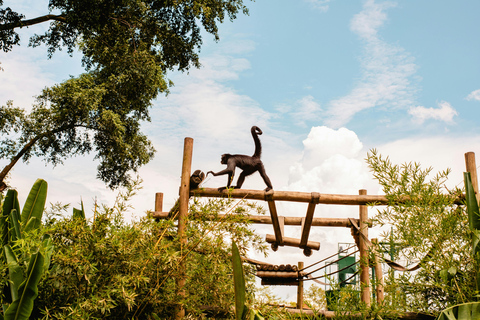 Barbados: Beginner-Friendly Forest Horseback Tour